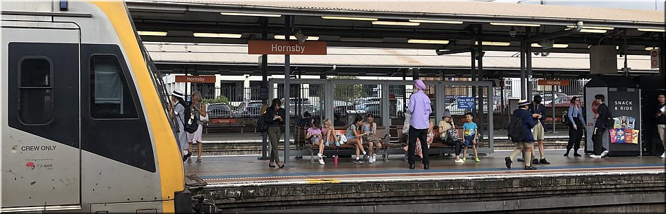 31 januari 2024 - Transfer St Ives (Sydney) naar Niagara Park