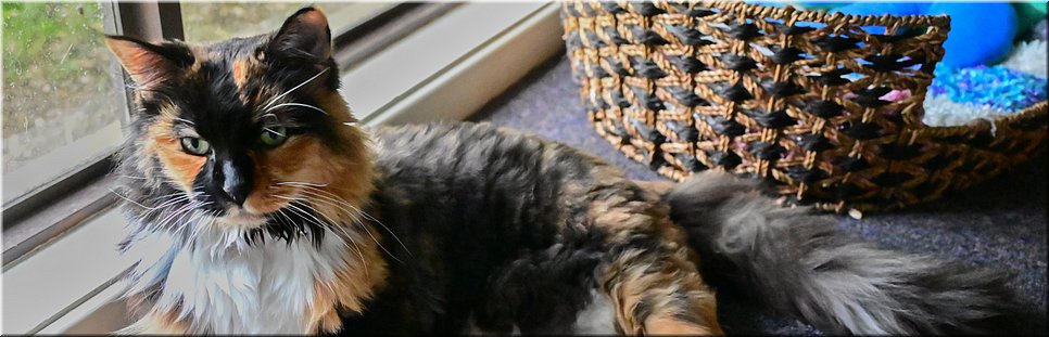 1 februari 2024 Niagara Park