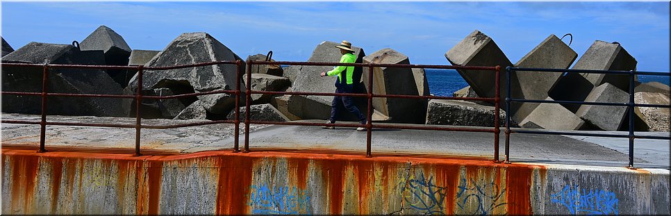 29-02-2024 - Wollongong - Verroest