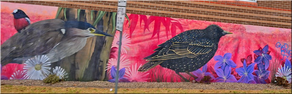 28-03-2024 - Melbourne -Street Art