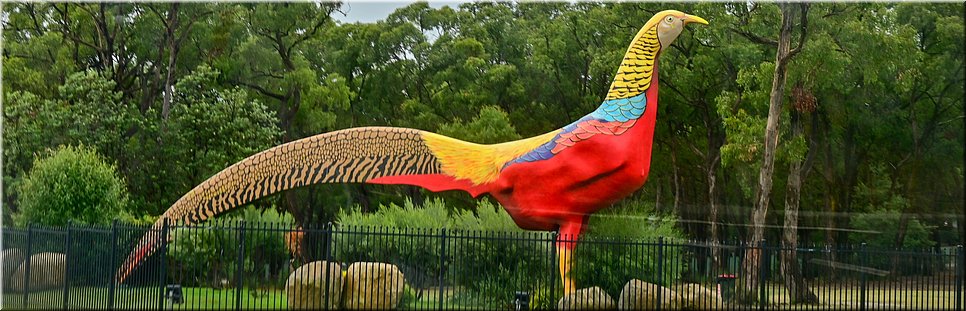 03-04-2024 -Tynong North - Gumbuya World Theme Park