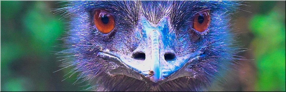 16-4-2024 Tower Hill - Tower Hill Wildlife Reserve