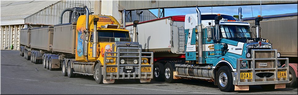 11-5-2024 - Port Lincoln - Road trains wachten in de haven