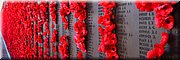 10 jan 2024 - Canberra - Australian War Memorial - 'Roll of Honour'