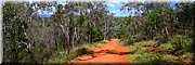 12 jan 2024 - Canberra - Red Hill Reserve