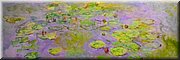 13 jan 2024 - Canberra - National Gallery - 'Nympheas (Waterlillies)', Claude Monet (1917)
