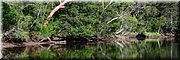 20 januari 2024 - Sydney, St Ives - Middle Harbour Creek