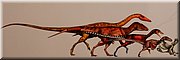 22 februari 2024 - Australian museum - Van dino naar vogel