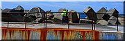29-02-2024 - Wollongong - Verroest