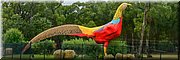 03-04-2024 -Tynong North - Gumbuya World Theme Park