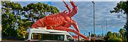 24-4-2024 Kingston - The Big Lobster, Paul Kelly (1979) - Larry, the Lobster