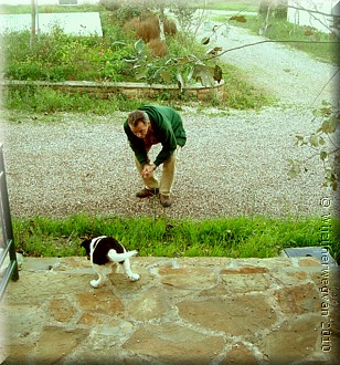 Pup met hoogtevrees