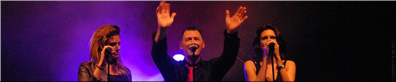 'Dr Fred & The Medicine Men' tijdens Palm Parkies in Tilburg