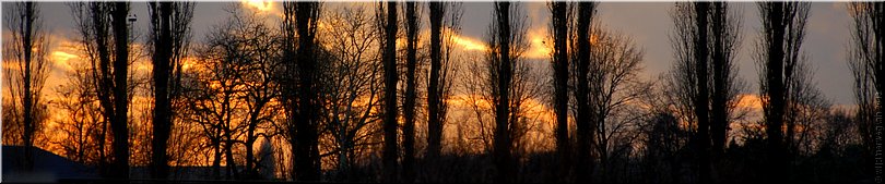 Netersel