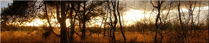 Neterselse Heide