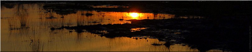Neterselse Heide