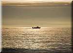 Een vissersboot, gevolgd door een sluier van meeuwen, keert terug naar de haven van Cambrils