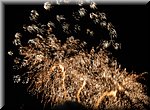 De aankomst van de Drie Koningen in de haven van Cambrils wordt voorafgegaan door wat vuurwerk