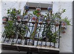 Bloemen- of pottenliefhebber in Jvea