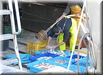 De dagvangst wordt nog even schoongespoten voor ze de afslag ingaat, in de haven van Jvea