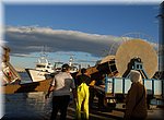 Het net wordt even uitgeladen, in de haven van Jvea