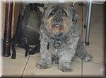 Op bezoek bij Diana ontmoeten we onze oude vriend Pipi!