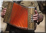 De accordeon is niet alleen mooi om te horen, maar ook om te zien!