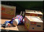 Torrox weekmarkt - na gedane arbeid is het goed rusten!