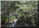 Kanaaltje door de bossen langs de Rio Higueron