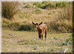 Tussen de bierblikjes door is best nog wat eetbaars te vinden, aan de monding van de Torrox rivier