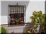 Bloemen achter de tralies, in Algarrobo
