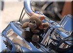 Een wat minder typische mascotte, op het motortreffen in Torrox