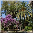 Een zacht kabbelende fontein in de 'Jardim Abade Correia da Serra' in Serpa