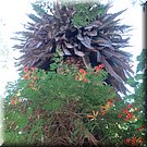 Een saaie palmboomstam gehuld in bloemen, in de 'Jardim Abade Correia da Serra' in Serpa