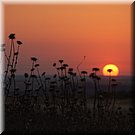 Aan de rand van Serpa nemen we weer afscheid van de zon... voor enkele uren