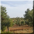 Vlakbij Serpa, op de Alto de So Gens, ligt de kapel van Onze Vrouwe van Guadalupe