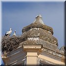 De ooievaarstoren van de Igreja de Santo Agostinho in Moura