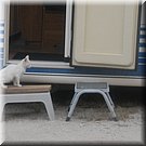 Onze nieuwe gast-aan-tafel komt even zeggen dat het diner kan worden opgediend!
