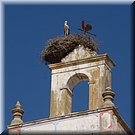 Pias       
Rua Dr Egas Moniz
