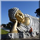 Bombarral
Quinta dos Loridos
'Buddha Eden' Jardim da Paz