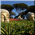 Bombarral
Quinta dos Loridos
'Buddha Eden' Jardim da Paz