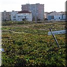 Peniche
Rua do Brazil