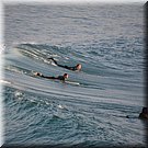 Aan de strandzijde van de pier liggen deze surfers echt aan de verkeerde kant van de golf!