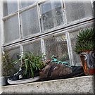 In het Forte de Peniche zetelt de kunstenaar Xico Nico, en die houdt wel van een plantje op de vensterbank