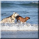 LOL op het strand