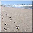 Het wordt steeds rustiger op het Praia da Cova de Alfarroba, op weg naar Baleal