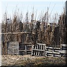Tja, als je geen muurtje met koud gestapelde stenen hebt kun je het altijd nog met oude pallets en riet proberen