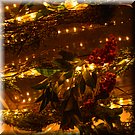 Onze kerstboom