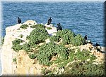 Peniche
Papoa schiereiland
