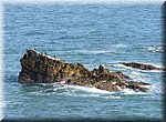 Peniche
Papoa schiereiland